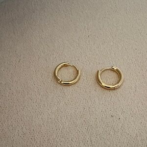 **Earrings small hoop gold tone fashion/costume NWOT